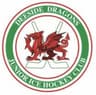 Deeside Dragons Academy U16N D1 logo