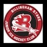 Billingham Stars U16 logo