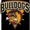 Bradford Bulldogs logo