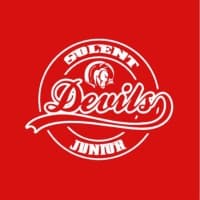 Solent Junior Devils NIHL 2 logo