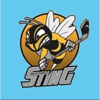 Sutton Sting U16 logo