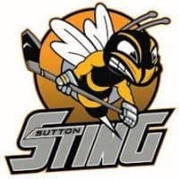Sutton Sting NIHL 2 logo
